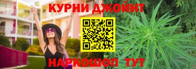 дживик Шелехов