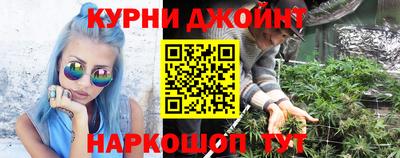 дживик Шелехов