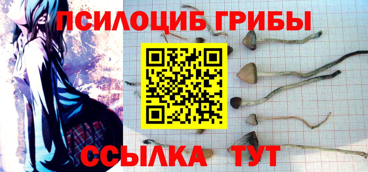 Галлюциногенные грибы Magic Shrooms  Вход с VPN  Галлюциногенные грибы прущие грибы  Елизово 