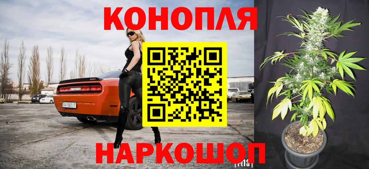 Елизово  Каннабис конопля  Вход с VPN  Бошки марихуана сатива 